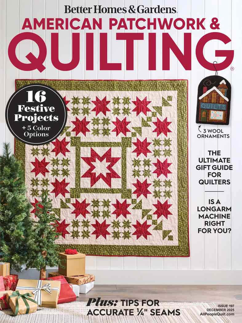 American Patchwork & Quilting 2025-12-01 Cover