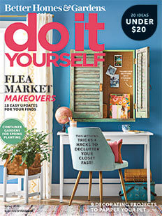 Do It Yourself Spring 2020