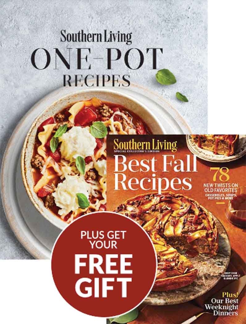 Latest Issue of Southern Living One Pot Recipes Series