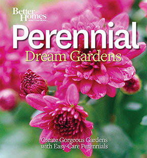 perennial-dream-gardens Cover of Perennial Dream Gardens