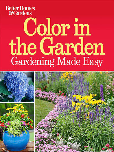 Cover of Color in the Garden