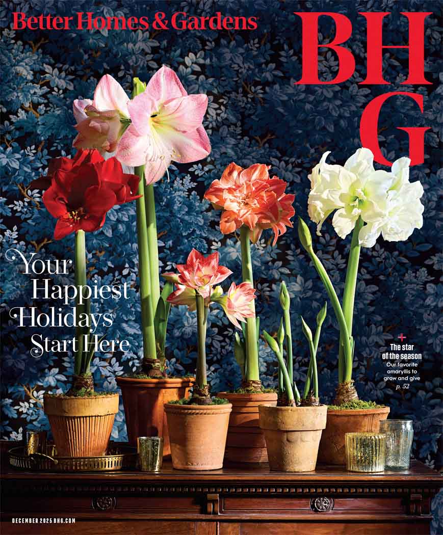 Best Price for Better Homes & Gardens Magazine Subscription