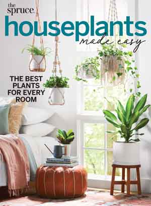 The Spruce Digital Subscription 3 of 5