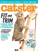 Catster 5 of 5
