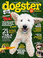 Dogster 1 of 5