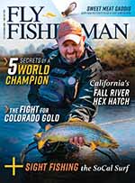 Fly Fisherman 4 of 5