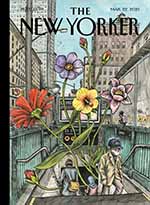 The New Yorker 5 of 5