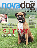 NOVADog Magazine 4 of 5