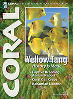 Coral Magazine 2 of 5