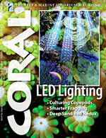 Coral Magazine 3 of 5