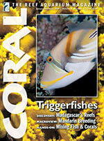 Coral Magazine 4 of 5