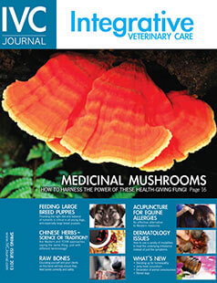 Latest issue of Integrative Veterinary Care Journal