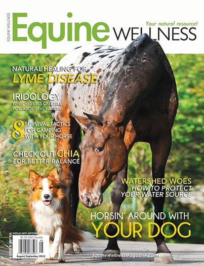 Latest issue of Equine Wellness