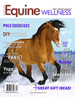 Equine Wellness 2 of 5