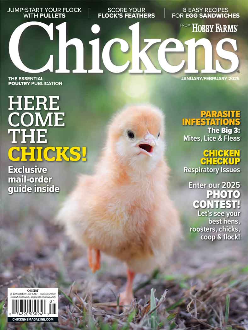 Chickens Magazine Subscription