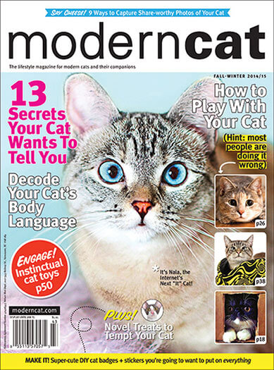 Modern Cat Magazine Subscription