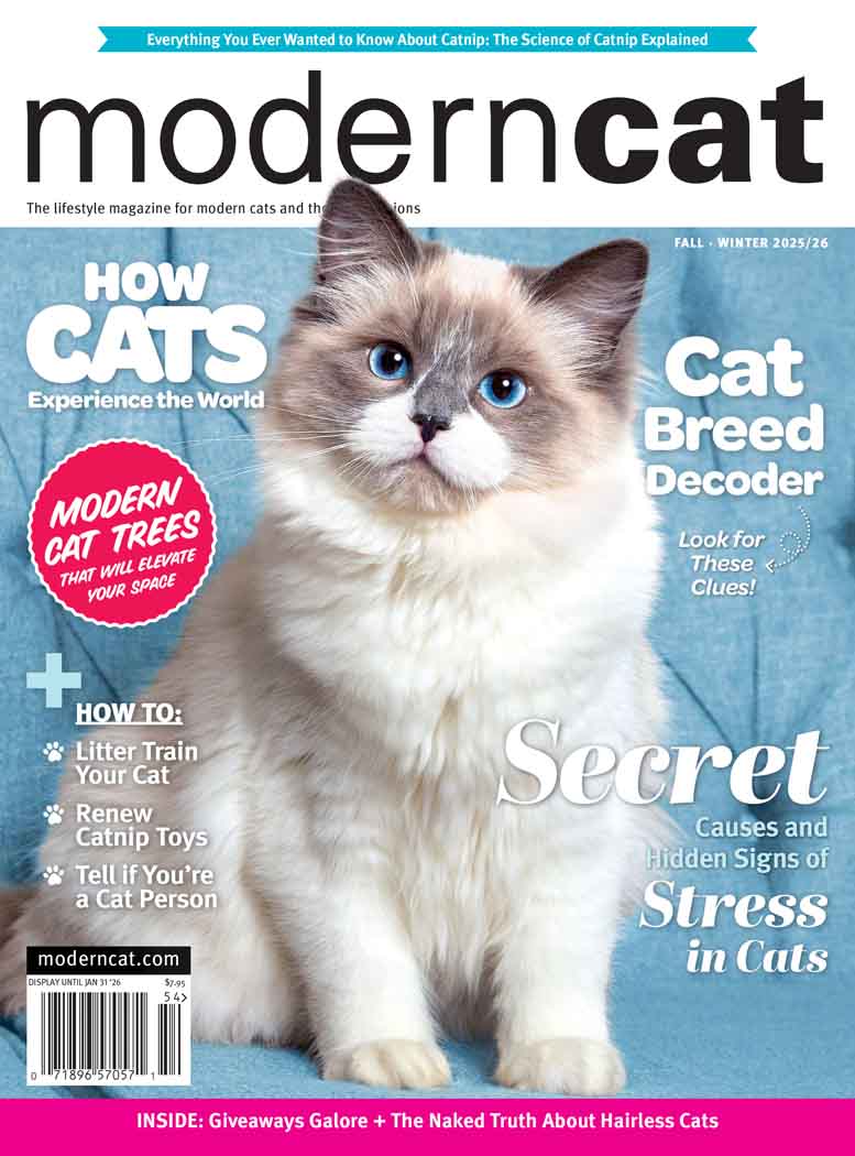 Modern Cat Magazine Subscription
