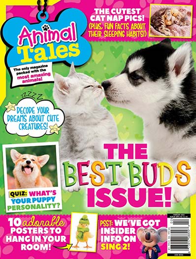 Latest issue of Animal Tales