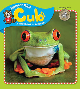 Latest issue of Ranger Rick Cub Magazine