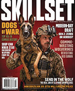 Skillset 1 of 5