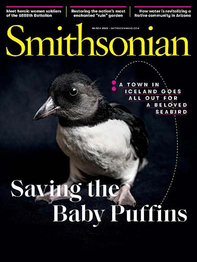 Smithsonian Magazine Subscription