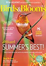 Birds & Blooms 3 of 5
