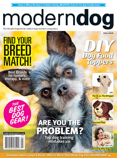 Modern Dog Magazine Subscription