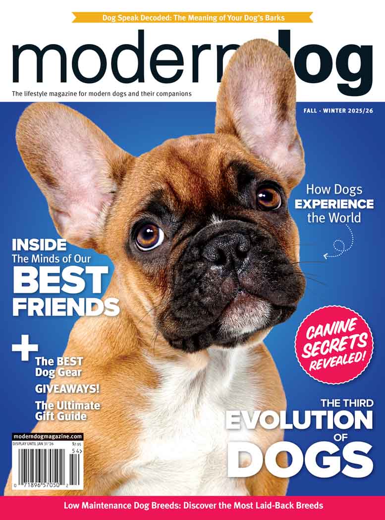 Best Price for Modern Dog Magazine Subscription