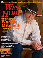 Western Horseman 2 of 5