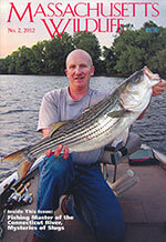 Massachusetts Wildlife 2 of 5