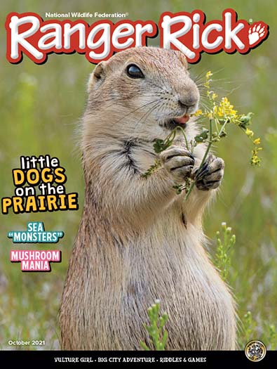 Ranger Rick Magazine Subscription