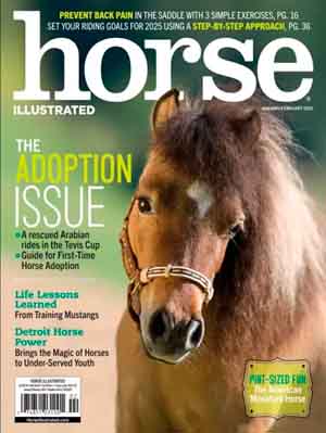 Horse Illustrated 3 of 5