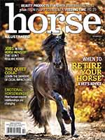 Horse Illustrated 5 of 5