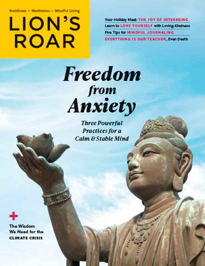 Best Price for Lion's Roar Magazine Subscription