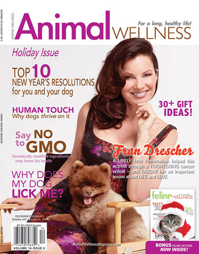 Animal Wellness Magazine Subscription