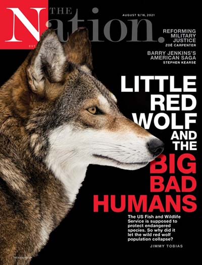 Nation Magazine Subscription
