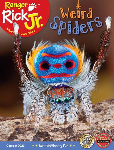Best Price for Ranger Rick Jr. Magazine Subscription