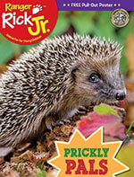 Ranger Rick Jr.  3 of 5