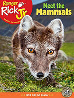 Ranger Rick Jr.  5 of 5