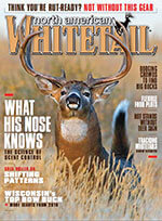 North American Whitetail 2 of 5