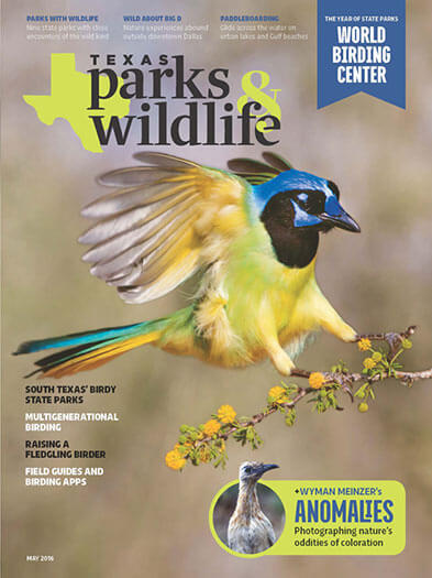 Texas Parks & Wildlife Magazine Subscription, 10 Issues, Southwest Region Magazines magazines.com