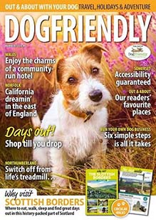 Dogfriendly Out & About Magazine
