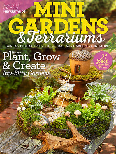 Cover of Mini Gardens & Terrariums digital PDF