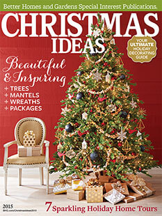 Cover of Christmas Ideas 2015 digital PDF