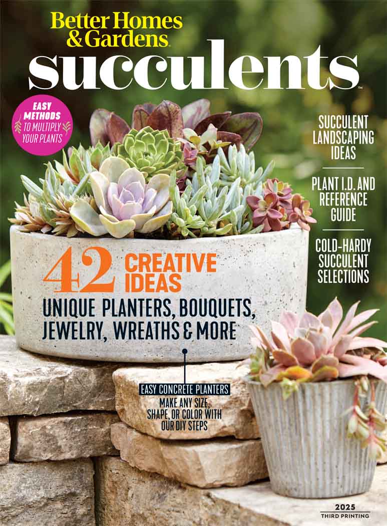 Cover of Better Homes & Gardens: Succulents 2025