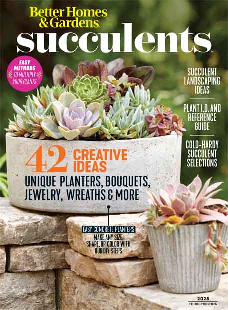Cover of Better Homes & Gardens: Succulents 2025