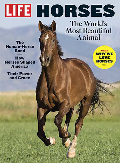 Latest issue of LIFE: Horses