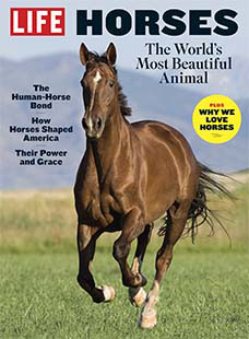 Latest issue of LIFE: Horses