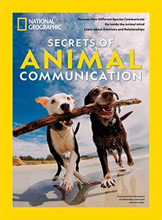 national-geographic-secrets-of-animal-communication Cover of National Geographic: Secrets of Animal Communication