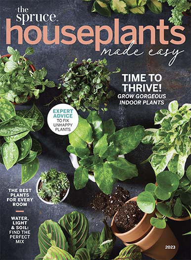 Spruce Houseplants Made Easy